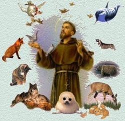 Blessings of Animals @ St. Mary of the Angels Church